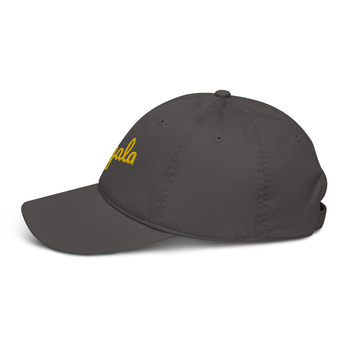 ORGANIC DAD HAT